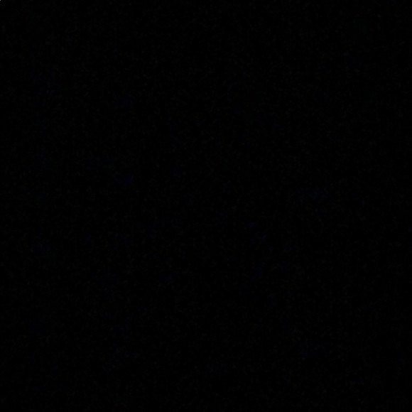 Meet your Posher, Cody - Picture 1 of 1